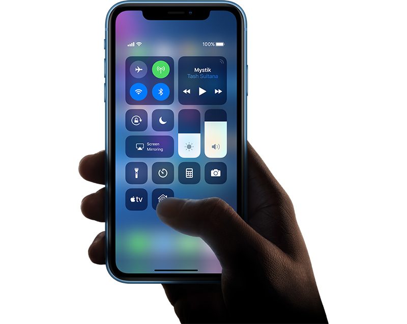 iphonexrinhand